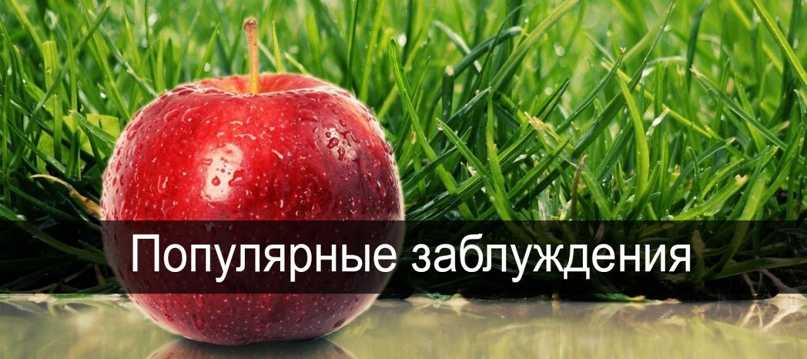 Тростниковый сахар: мифы и правда