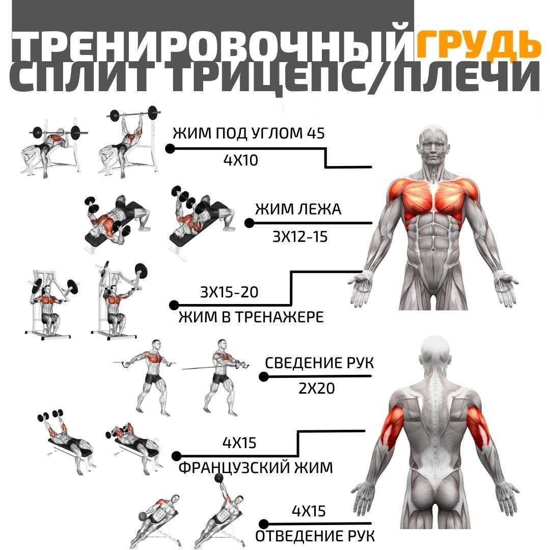 Как рассчитать количество повторений в подходе при тренировках