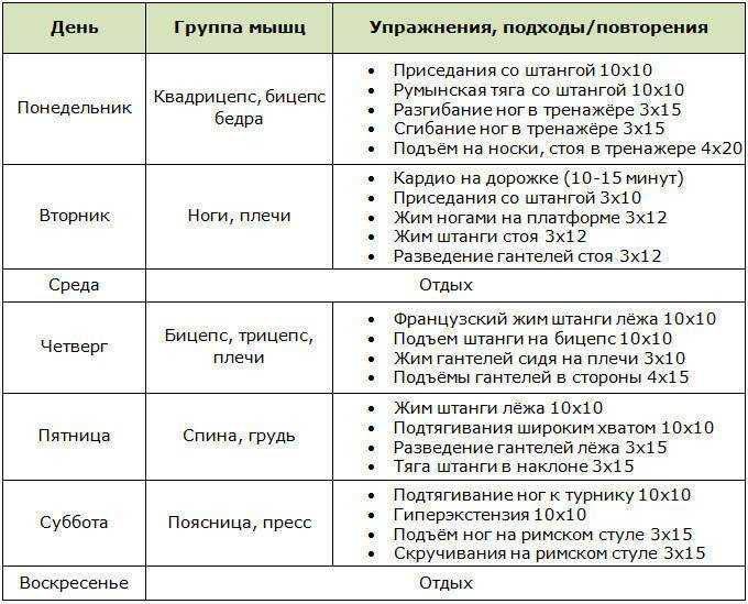 Тренировка 2 раза в неделю. программа тренировок для начинающих в тренажерном зале