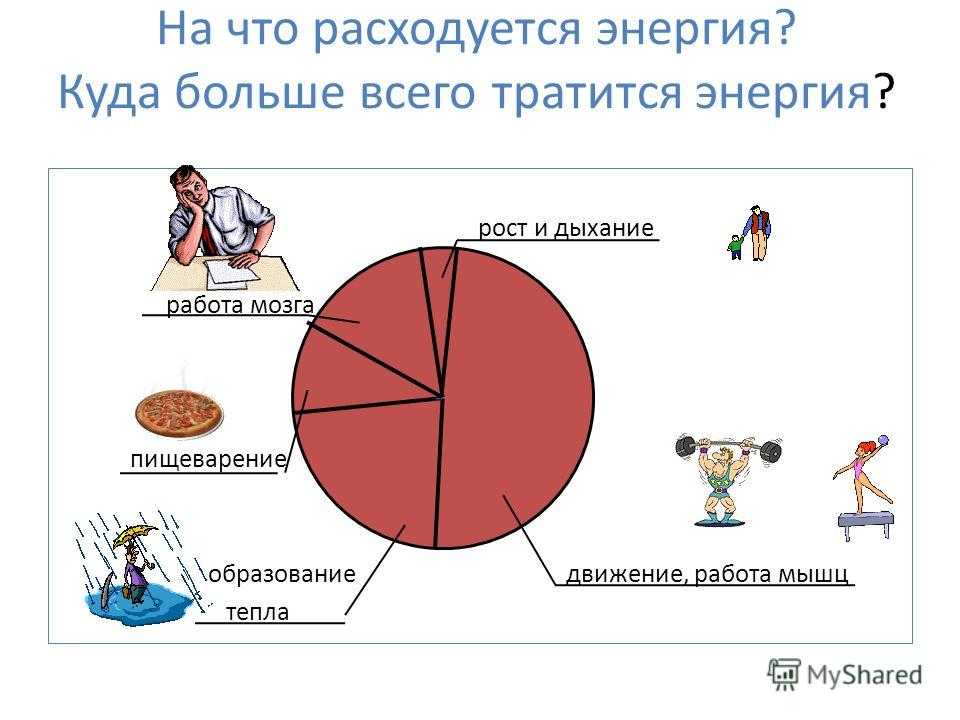 6 занятий, сжигающих максимум жира — до 200 ккал за 5 минут