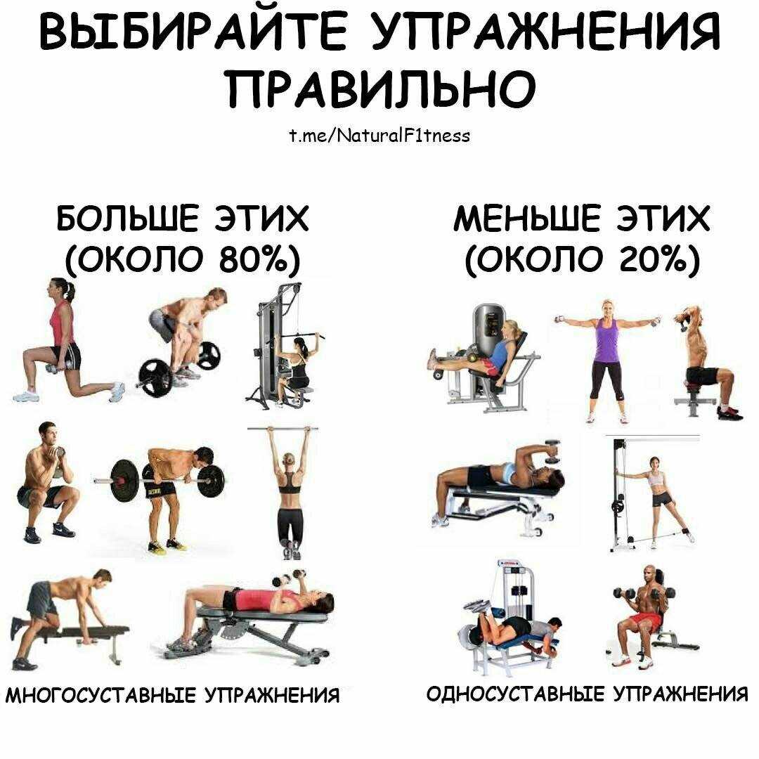 Программа тренировок на плечи в тренажерном зале. упражнения на плечи в зале