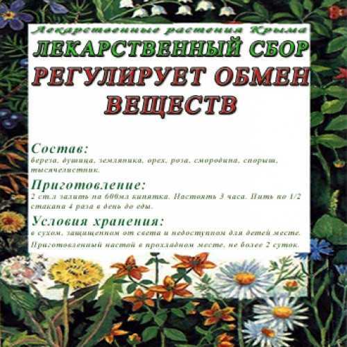 ‍♀️обзор самых эффективных и популярных чаев для похудения, особенности и характеристики