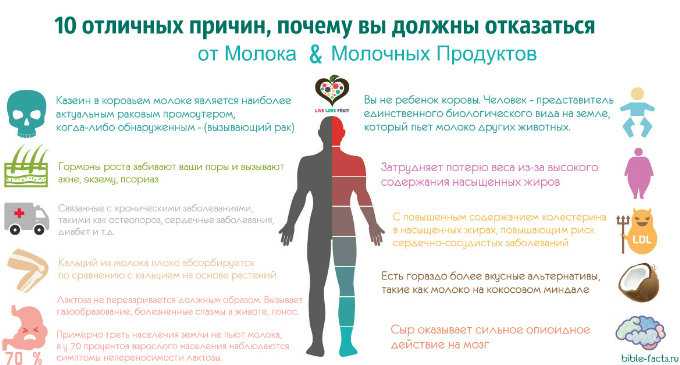 По словам специалиста кисломолочные продукты нужно употреблять не раньше чем через 1 5 часа после приема пищи Однократный прием кисломолочного продукта здес