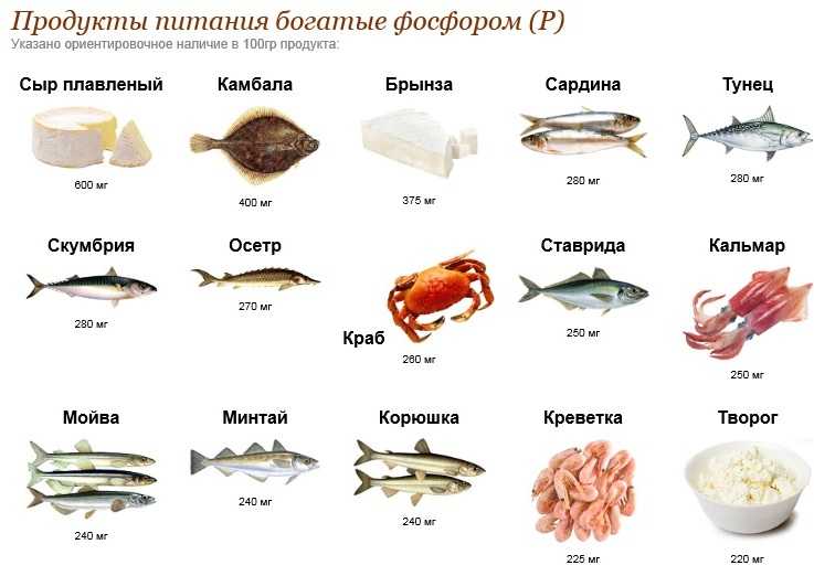10 самых полезных фастфудов в мире