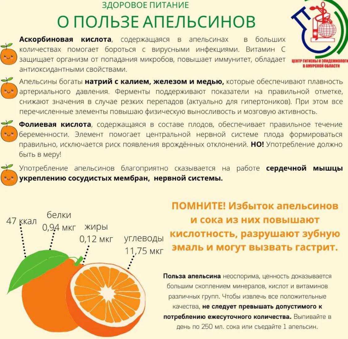 Польза апельсинов: витамины и свойства. польза апельсинового сока