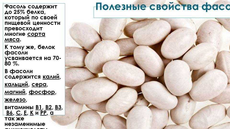 Какая фасоль более полезна красная или белая? | польза и вред