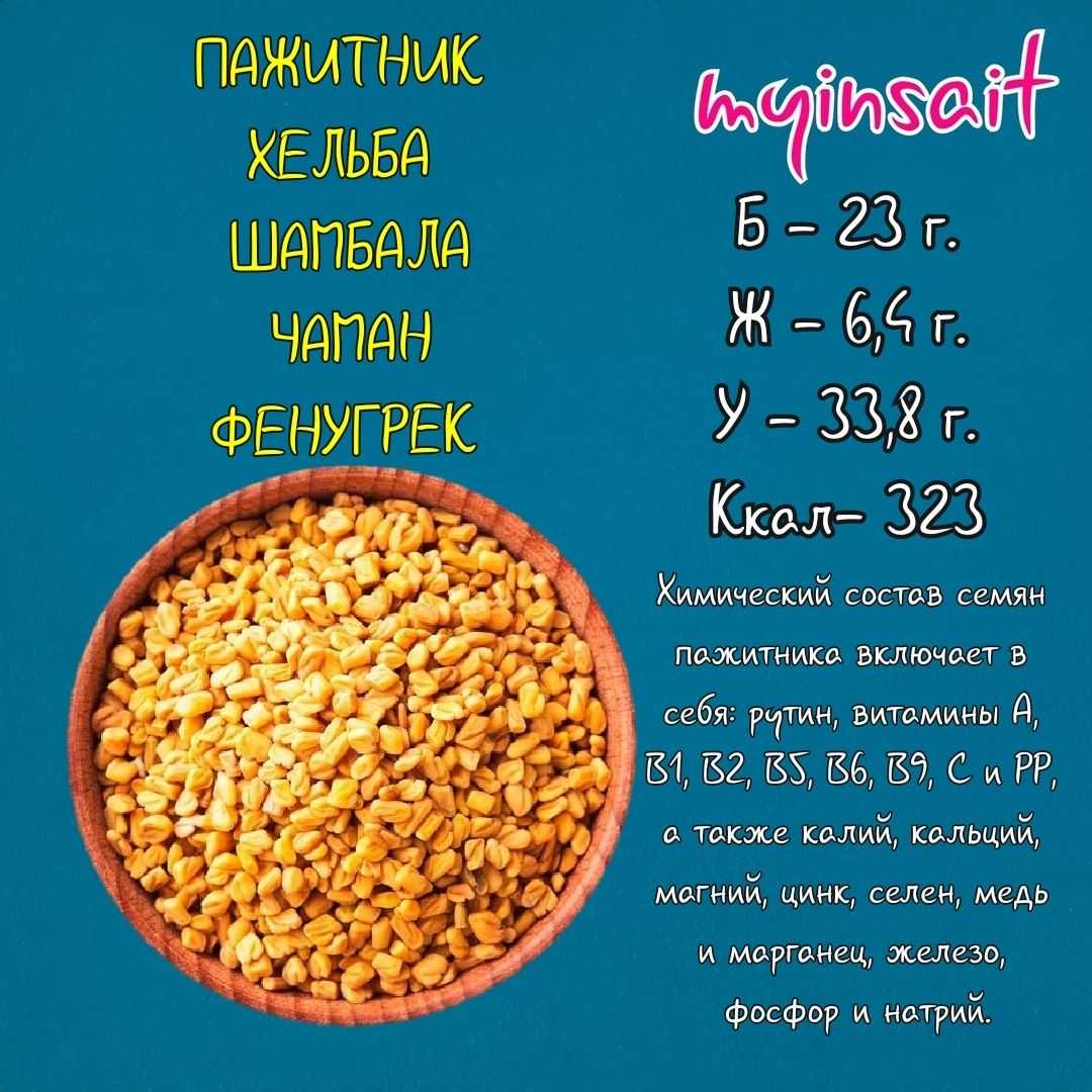 Польза и вред пажитника, применение для женщин и мужчин