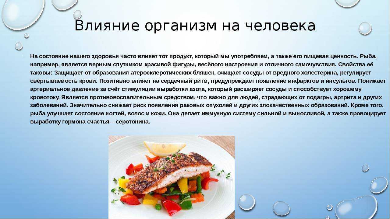 13 видов рыбы, которые нельзя есть