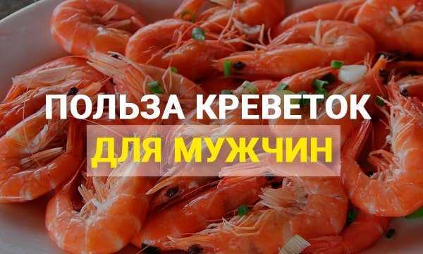 Креветки - польза и вред для здоровья организма