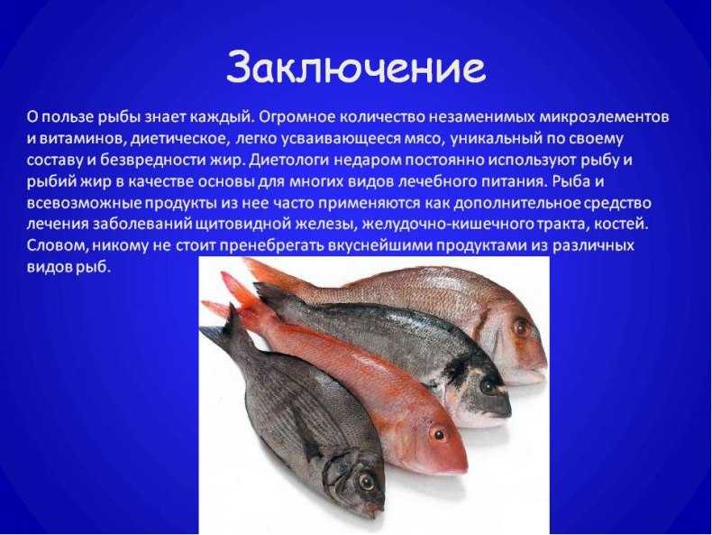 Какую рыбу можно есть на диете и при похудении