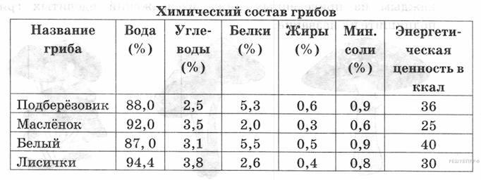 Чем полезны и вредны разные грибы для человеческого организма?
