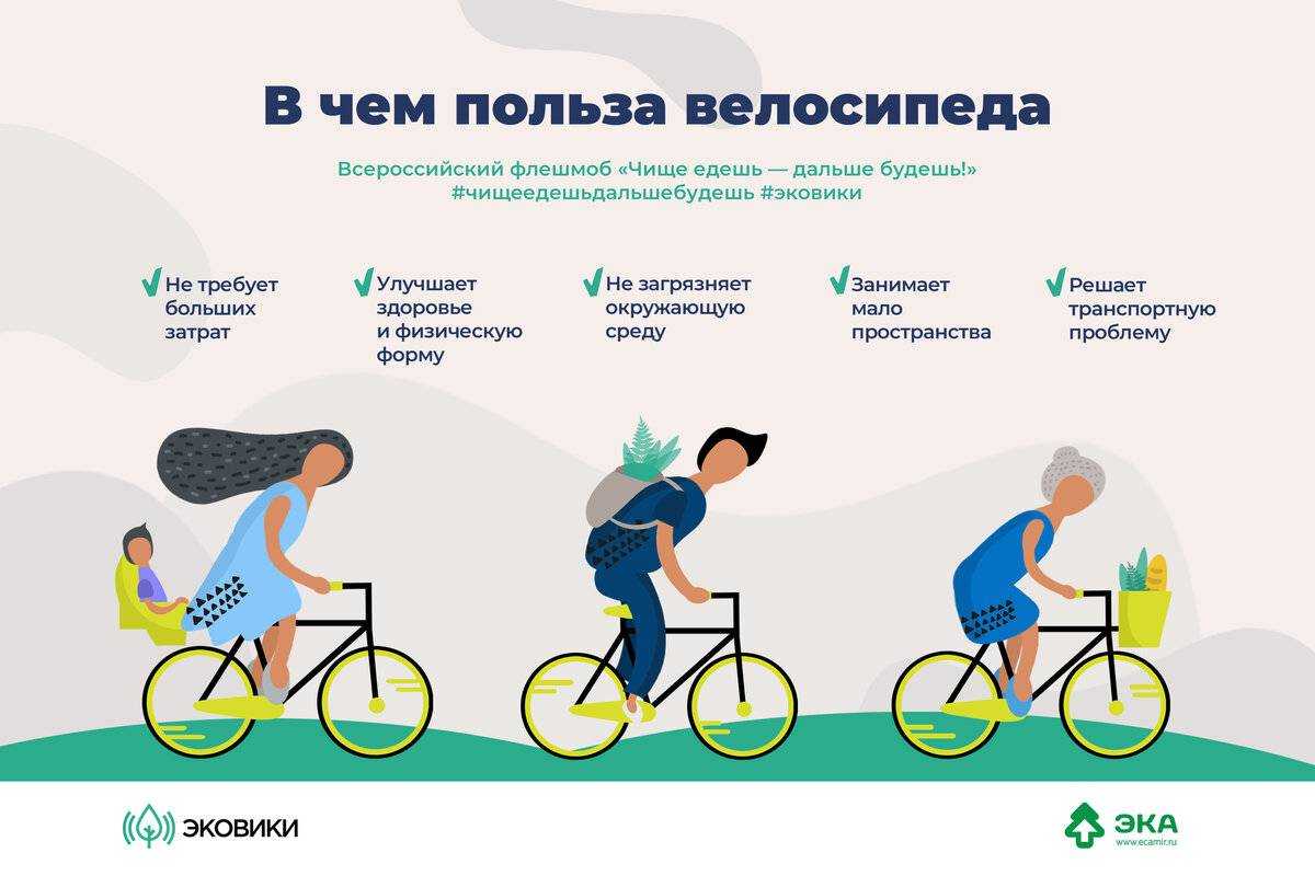 Какие мышцы работают при езде на велосипеде