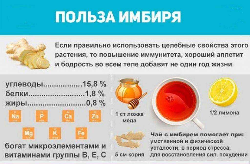 Полезные свойства имбиря для женщин: организма, при, чем, вред