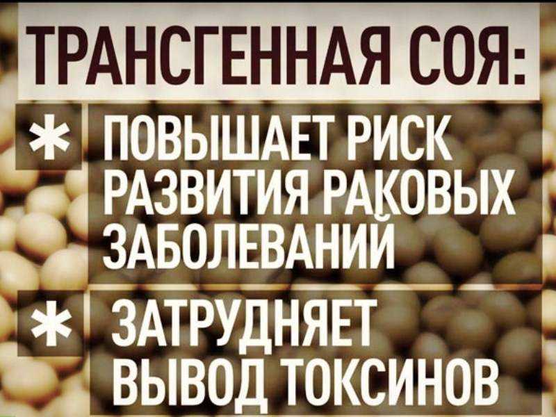 Соевые бобы - польза и вред, пищевая ценность, происхождение культуры и использование в пищу