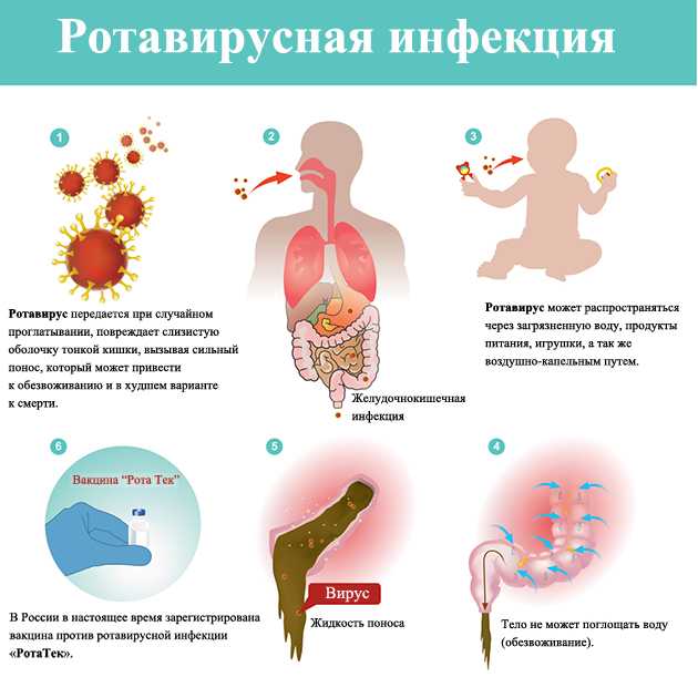 Илона броневицкая назвала себя виновной в зависимости стаса пьехи