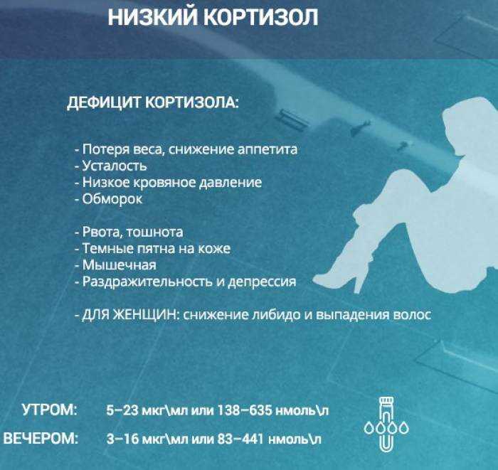 Гормон стресса кортизол: за что отвечает, чем опасен повышенный уровень и как его снизить