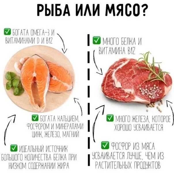 Вегетарианцы которые едят рыбу. кто такие вегетарианцы и какими они бывают? | школа красоты