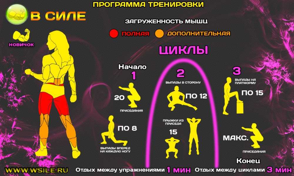 Набор мышечной массы для девушек - лучшие схемы тренировок