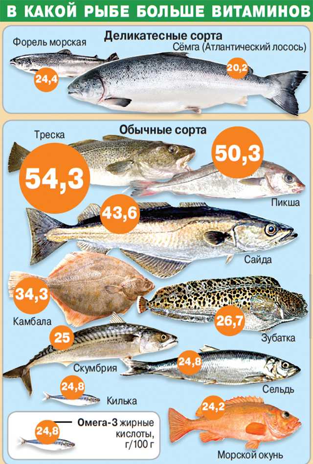 Какая северная рыба самая вкусная и полезная: мнение повара, диетолога и северян