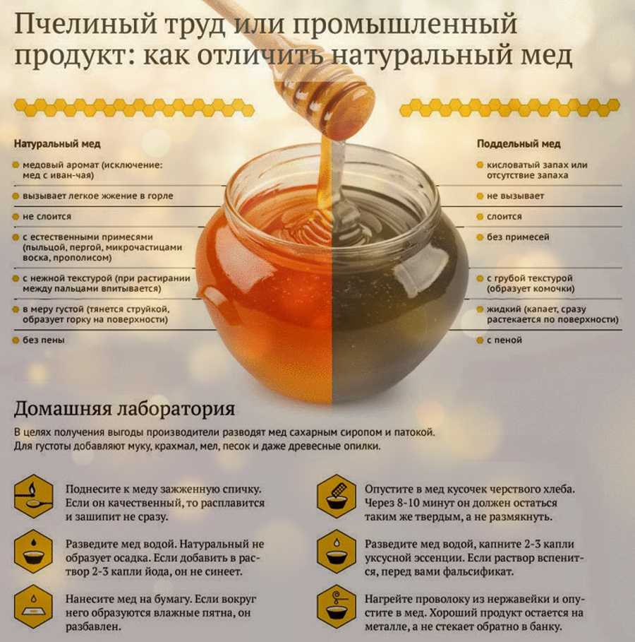 Цветочный мед —  полезные свойства и секреты применения в медицине
