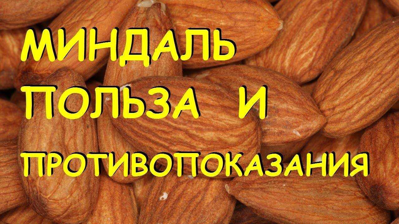 Миндаль: польза для здоровья и противопоказания