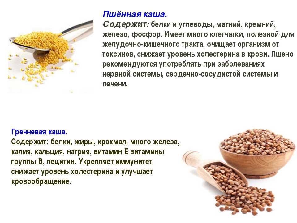 Польза или вред пшённой каши