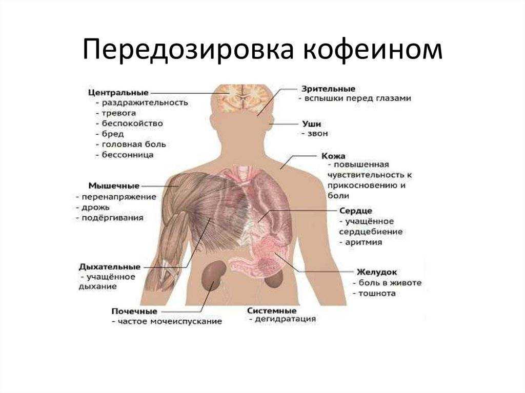 Кофе мочегонное или нет, задерживает или выводит воду из организма