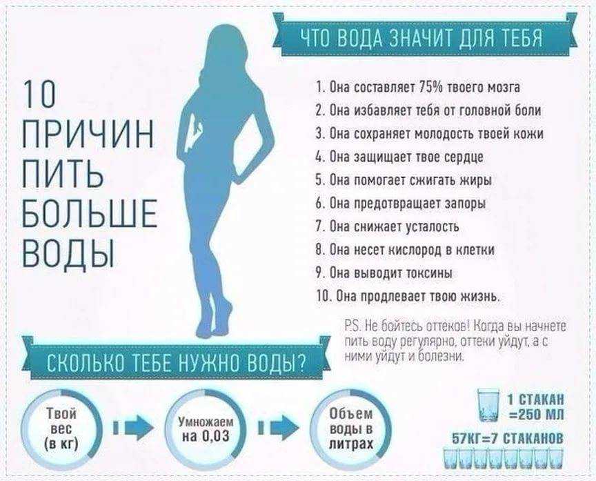 Что пить на ночь, чтобы сбросить вес: шесть "работающих" напитков: новости, похудение, напитки, лишний вес, диеты