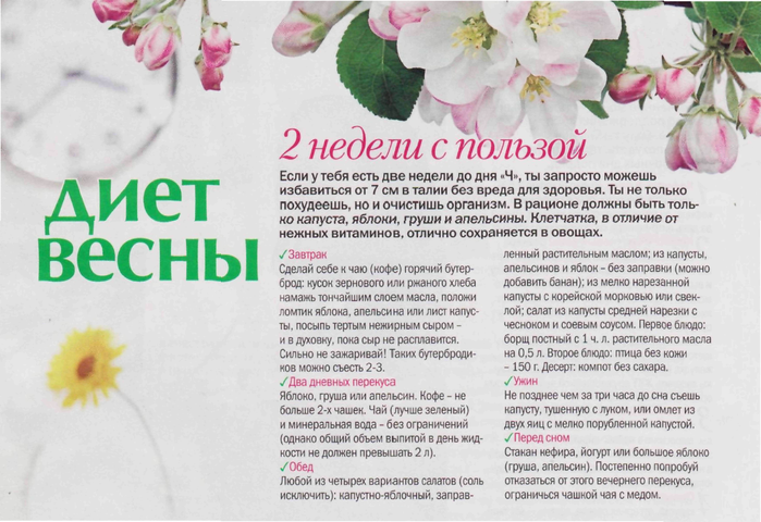 Диета: минус 20-28 кг за 4 недели