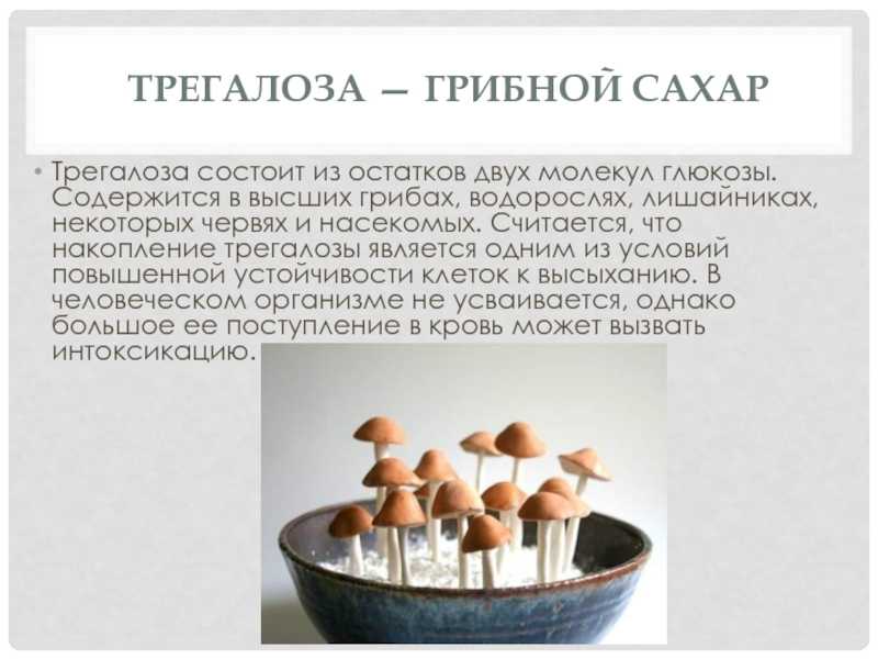 Сахарное лицо. что оно собой представляет? | красота и фитнес | здоровье | аиф аргументы и факты в беларуси