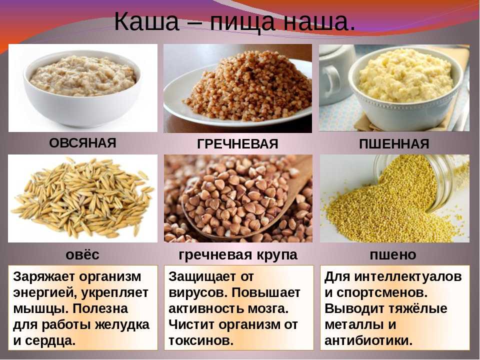 Ячневая каша: польза и вред, калорийность. состав ячневой каши, какие полезные свойства и возможный вред имеет ячка?