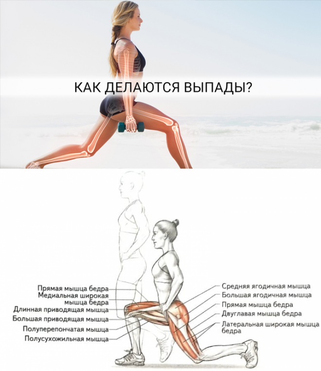Выпады - техника выполнения (20+ вариантов выполнения упражнения): выпады с гантелями, выпады назад и вперед, выпады со штангой