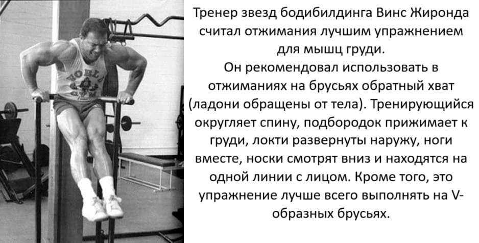 Упражнения для активного жирасжигания повышения силы и выносливости Выполняйте и худейте