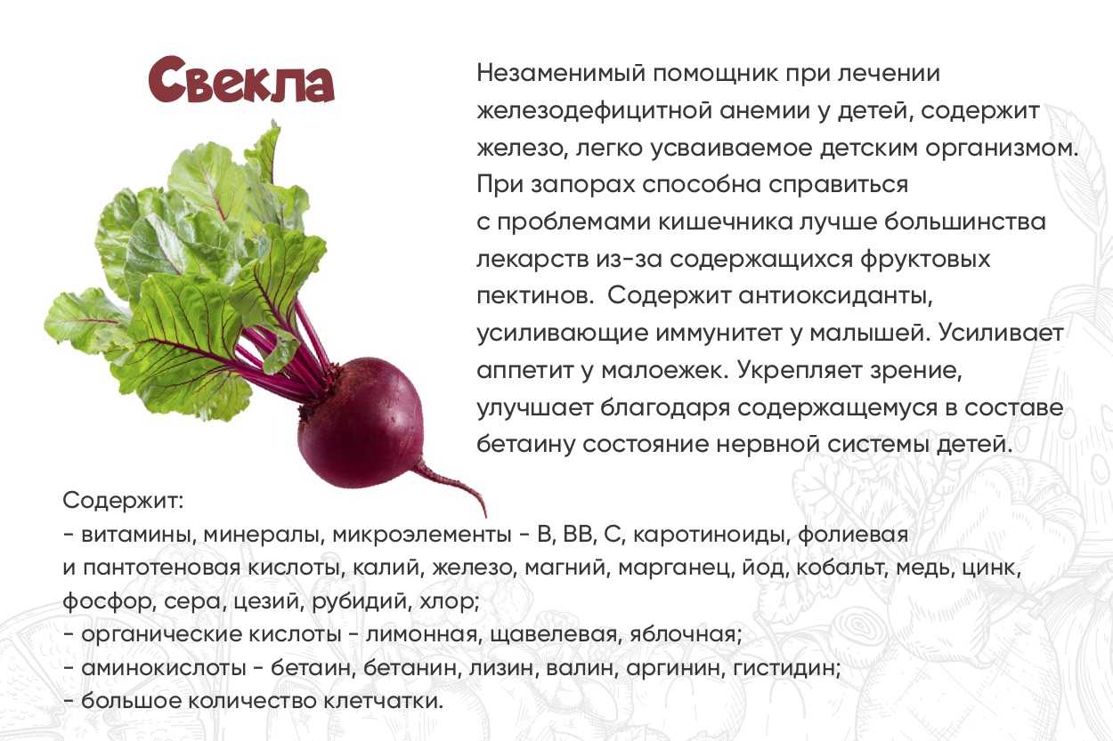 Польза и вред вареной свеклы красной, при похудении, для печени – портал "стань лучше"