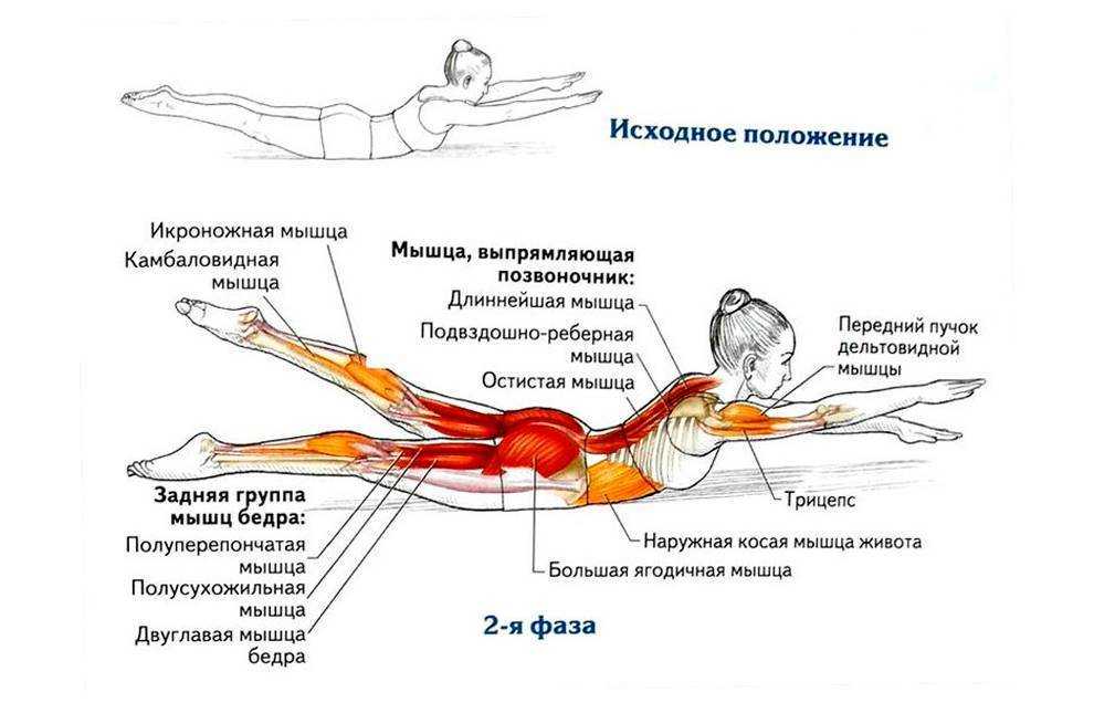 Что произойдёт с телом, если делать упражнение «велосипед» ежедневно |