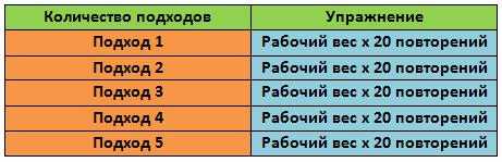 Сколько повторений делать в упражнениях?