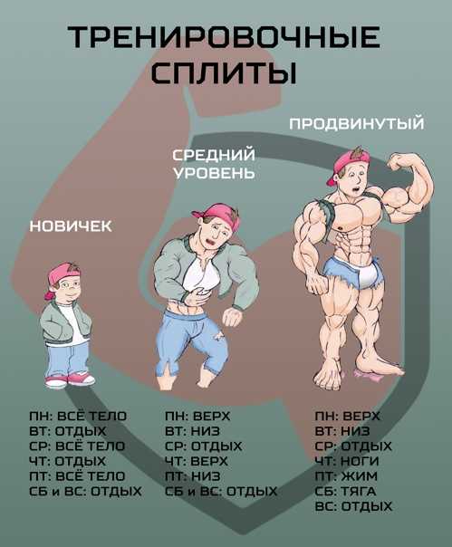 Особенности сплит тренировок для девушек, пример программы