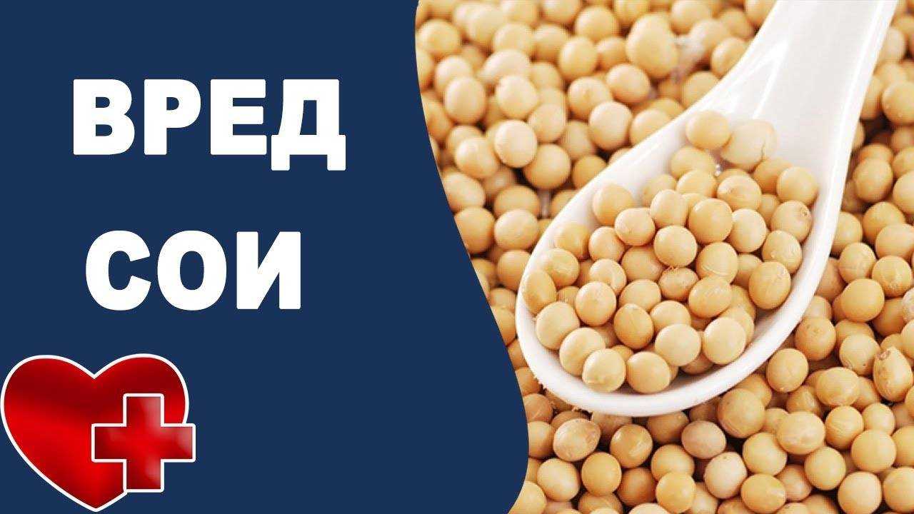 Соевые продукты - медицинский портал eurolab