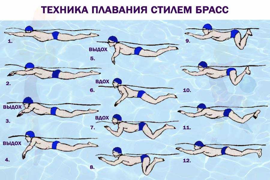 Техника плавания стилями баттерфляй и дельфин