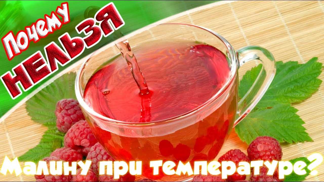 Чай с малиной при температуре – польза, как заваривать и пить