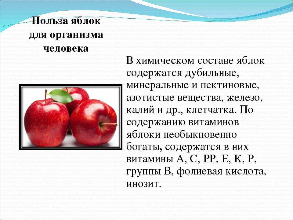 Яблочная кожура: польза и вред, секрет доброй репутации