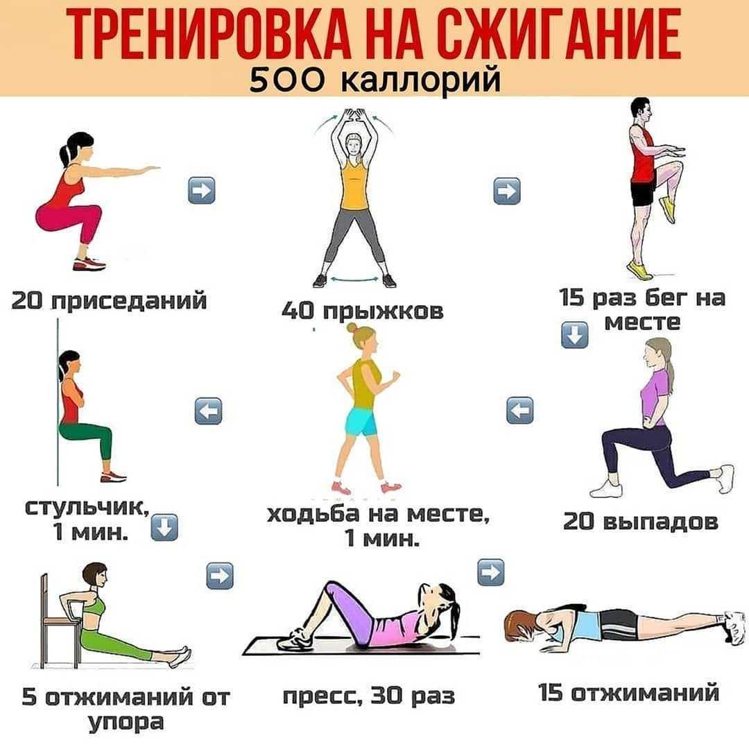 Hiit тренировка дома без тренажеров. программа