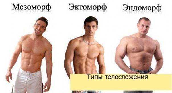 Программа тренировок для эндоморфа