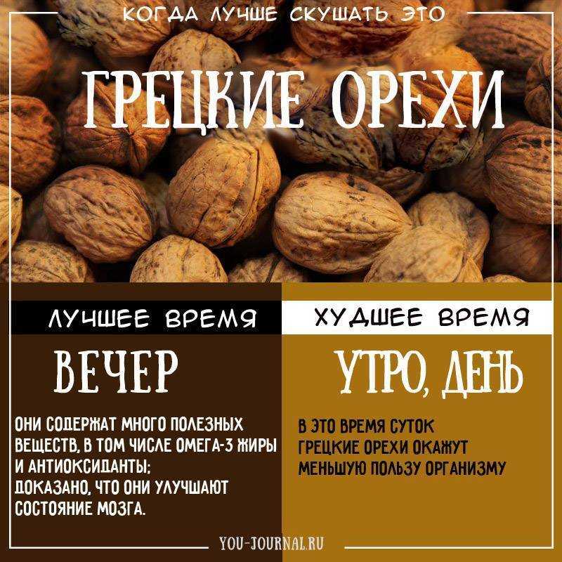 Какие орехи самые полезные: топ-10
