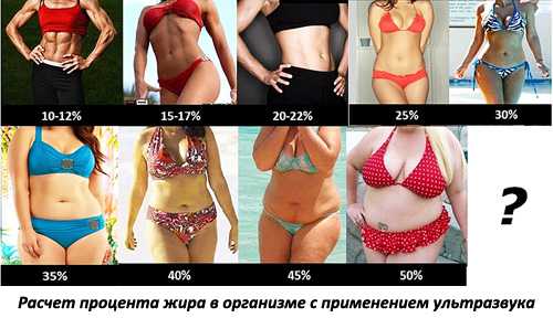 Каким должен быть процент жира в организме?