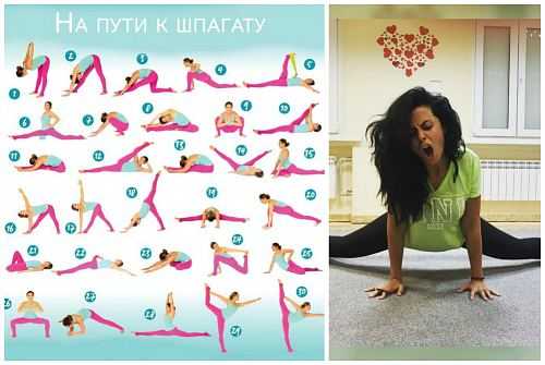 Как сесть на шпагат? полное руководство: практика