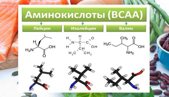 Изолейцин: что это такое?