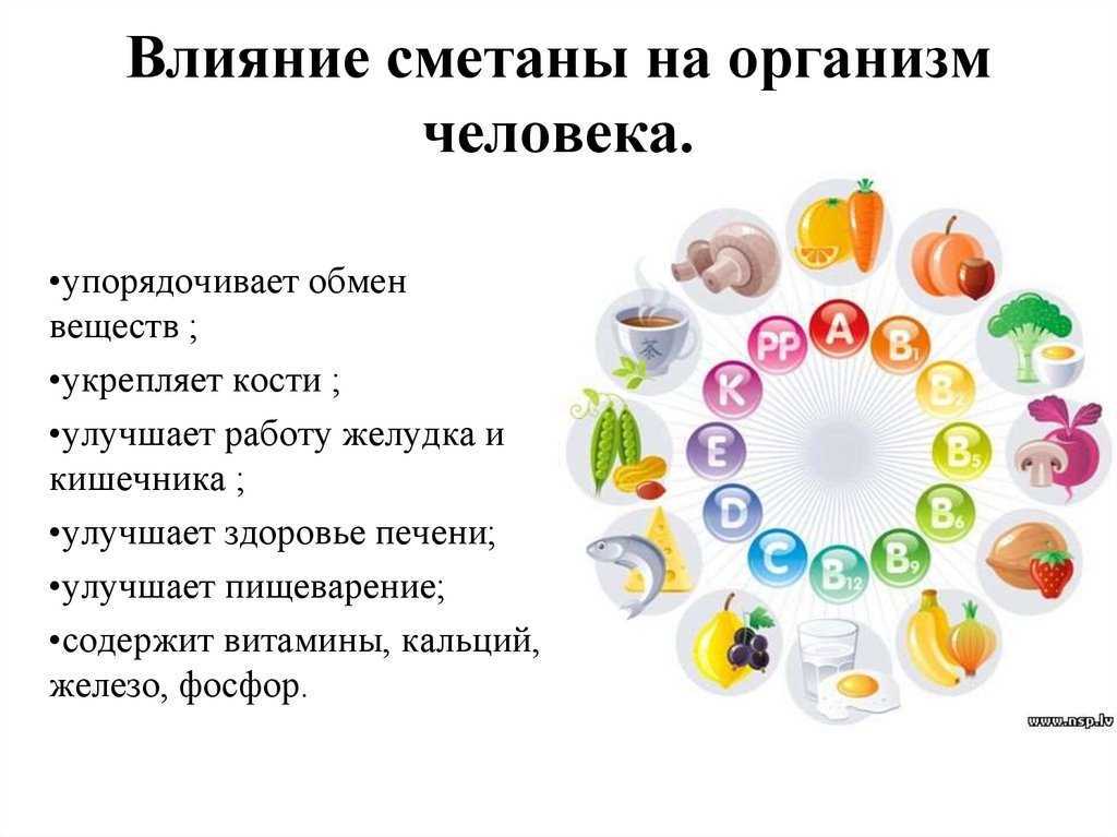 Сметана (жирная, домашняя): польза и вред для организма