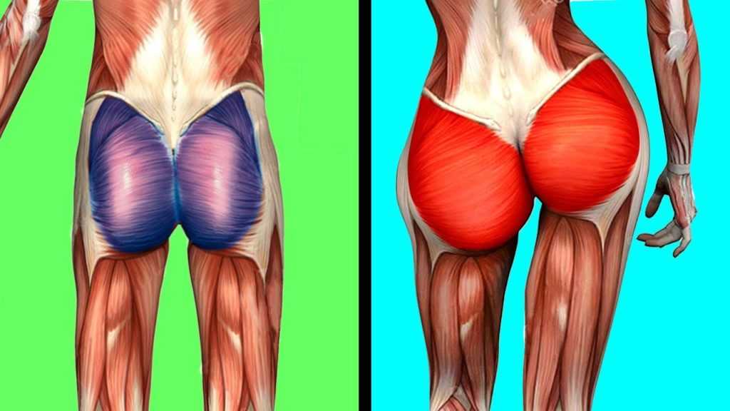 Как похудела полина гагарина – 40 кг за полгода | simpleslim