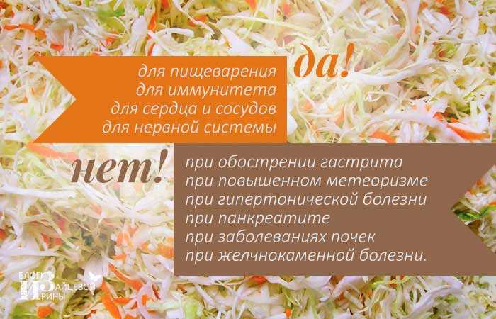 Квашеная капуста польза | волшебная eда.ру